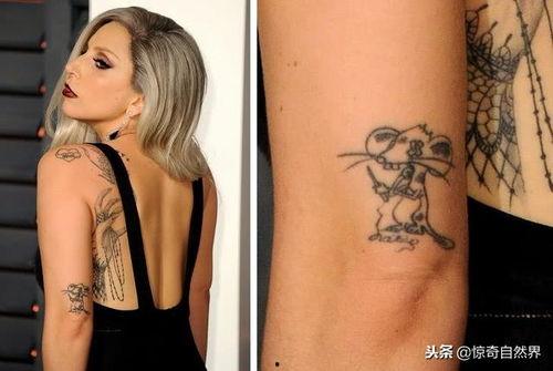 明星纹身图案大全集,揭秘明星纹身图案大全集