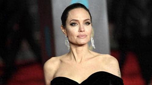 朱莉明星,璀璨星途，魅力无限