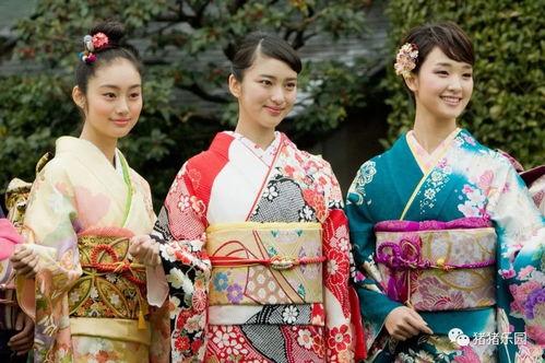 和服家政妇日本好看站,日本传统之美与生活智慧