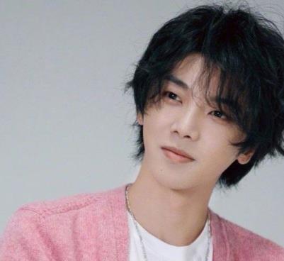 娱乐圈吃瓜王力宏是谁